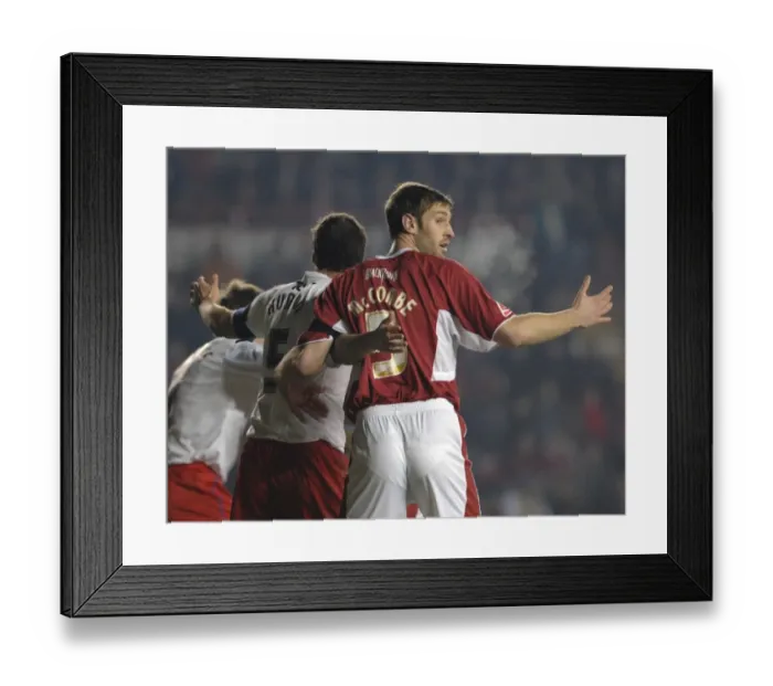 Framed Print : Jamie McCombe in Action: Bristol City vs Crystal Palace Framed Print : Jamie McCombe in Action: Bristol City vs Crystal Palace