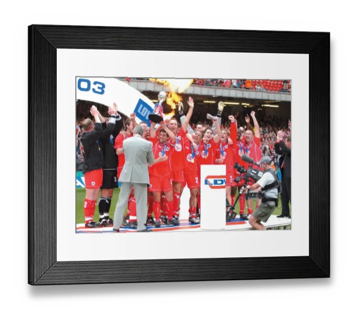 Framed Print : LDV Trophy: Thrilling Moments of Bristol City FC (02-03) Framed Print : LDV Trophy: Thrilling Moments of Bristol City FC (02-03)