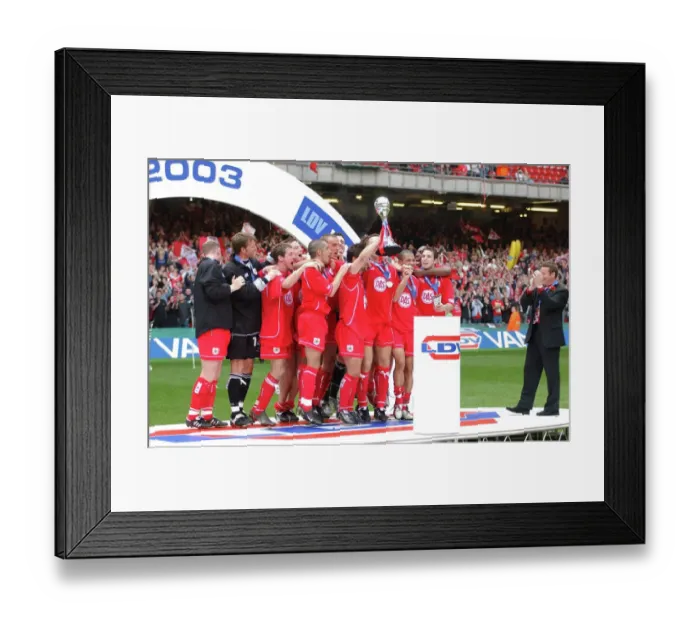 Framed Print : Bristol City FC in Action: LDV Trophy (02-03) Framed Print : Bristol City FC in Action: LDV Trophy (02-03)