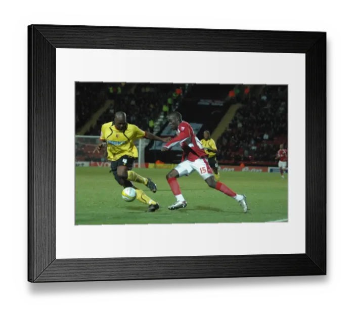 Framed Print : Showunmi in Action: Watford vs. Bristol City Framed Print : Showunmi in Action: Watford vs. Bristol City