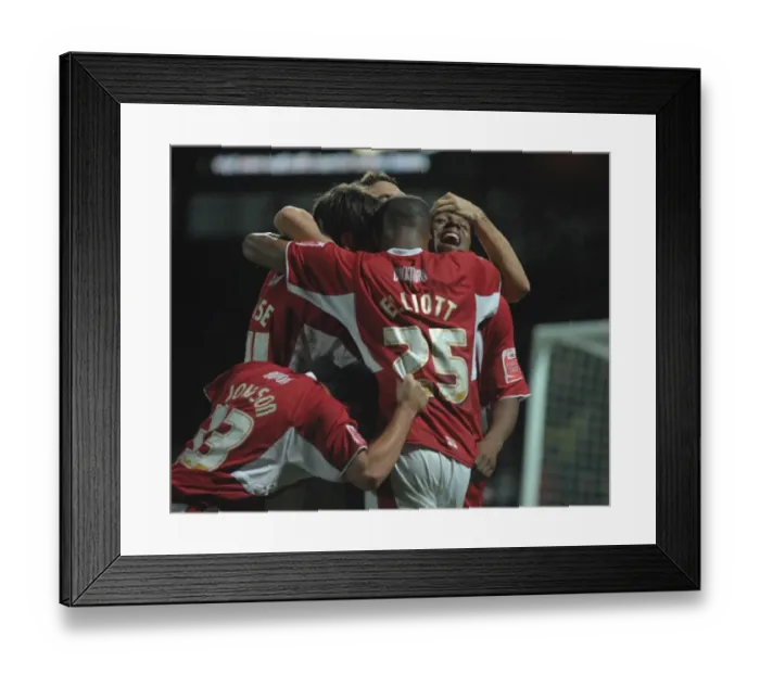 Framed Print : Bristol City FC: Euphoric Victory Celebration Against Watford