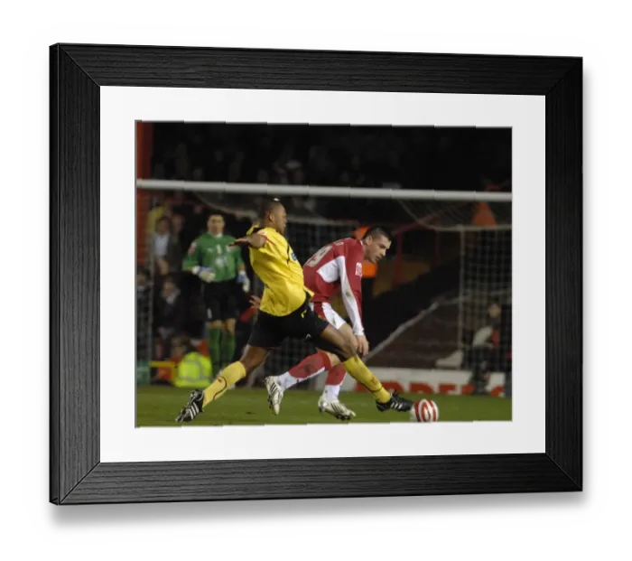 Framed Print : Tamas Vasko