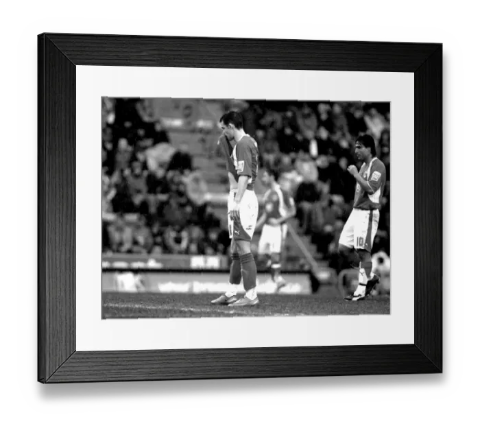 Framed Print : Michael McIndoe Nick Carle Framed Print : Michael McIndoe Nick Carle
