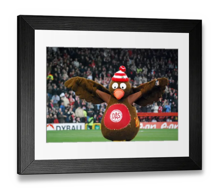 Framed Print : Bristol City First Team: Season 07-08: Bristol City V Plymouth Argyle