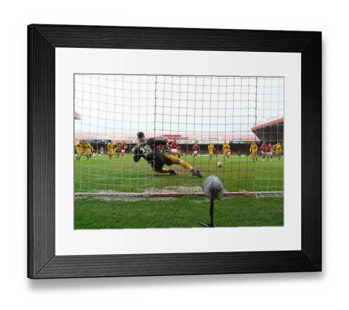 Framed Print : Bristol City vs. Plymouth Argyle: A Football Rivalry - Season 07-08 Framed Print : Bristol City vs. Plymouth Argyle: A Football Rivalry - Season 07-08