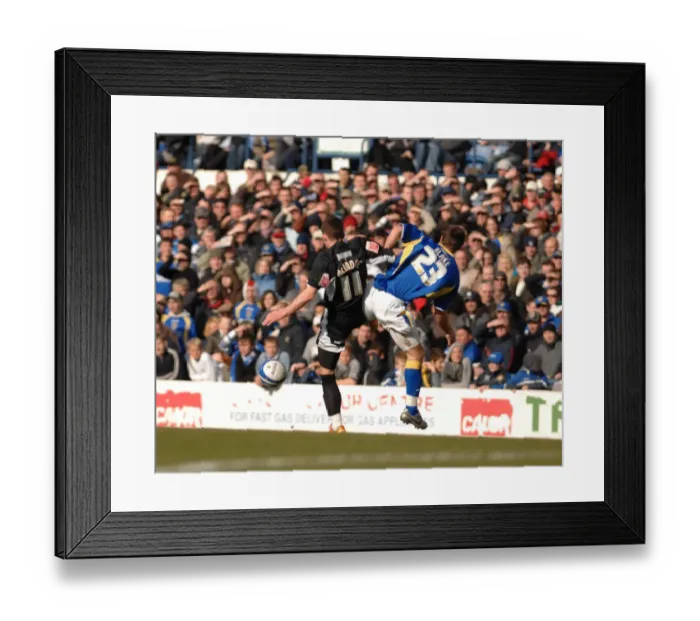 Framed Print : Micheal McIndoe Framed Print : Micheal McIndoe