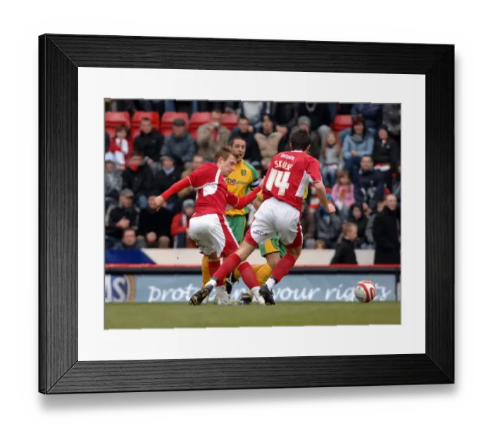 Framed Print : David Noble Framed Print : David Noble