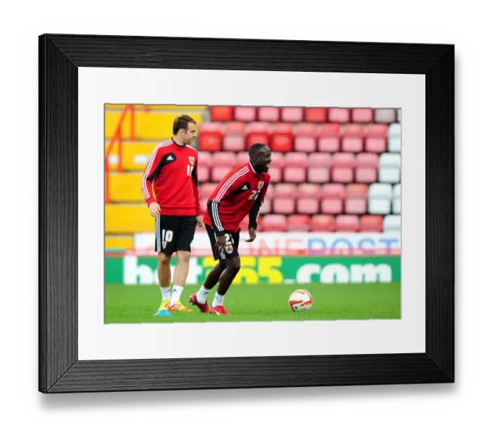 Framed Print : Bristol City Football Club: Albert Adomah and Brett Pitman at Pre-Season Open Day, 2012 Framed Print : Bristol City Football Club: Albert Adomah and Brett Pitman at Pre-Season Open Day, 2012