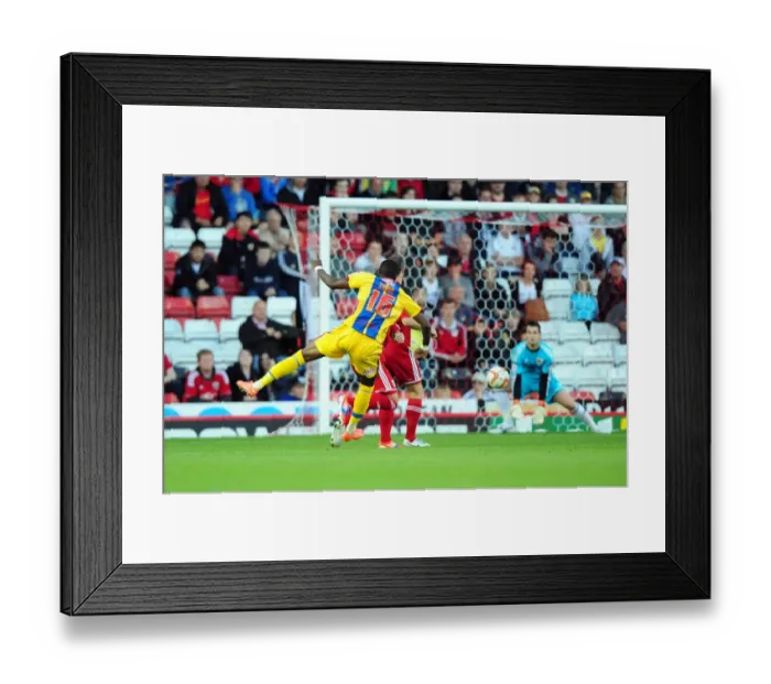 Framed Print : Bristol City's Tom Heaton Denies Wilfried Zaha: Dramatic Save in Bristol City vs Crystal Palace Championship Clash Framed Print : Bristol City's Tom Heaton Denies Wilfried Zaha: Dramatic Save in Bristol City vs Crystal Palace Championship Clash