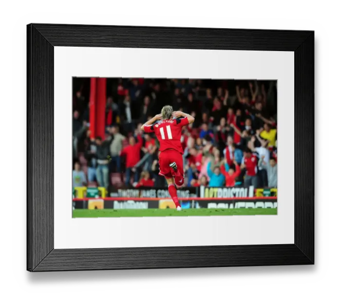 Framed Print : Martyn Woolford's Goal Celebration: Bristol City vs Crystal Palace, Championship 2012 Framed Print : Martyn Woolford's Goal Celebration: Bristol City vs Crystal Palace, Championship 2012