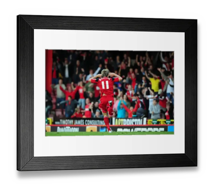 Framed Print : Thrilling Goal Celebration: Martyn Woolford Ignites Ashton Gate for Bristol City vs Crystal Palace in Championship 2012 Framed Print : Thrilling Goal Celebration: Martyn Woolford Ignites Ashton Gate for Bristol City vs Crystal Palace in Championship 2012