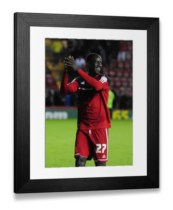 Framed Print : Adomah in Action: Bristol City vs Crystal Palace, Championship 2012