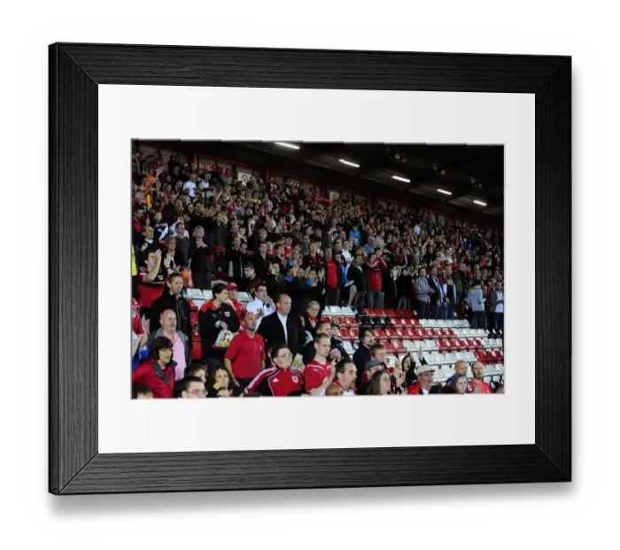 Framed Print : Bristol City vs. Crystal Palace: Championship Clash at Ashton Gate Stadium - August 2012