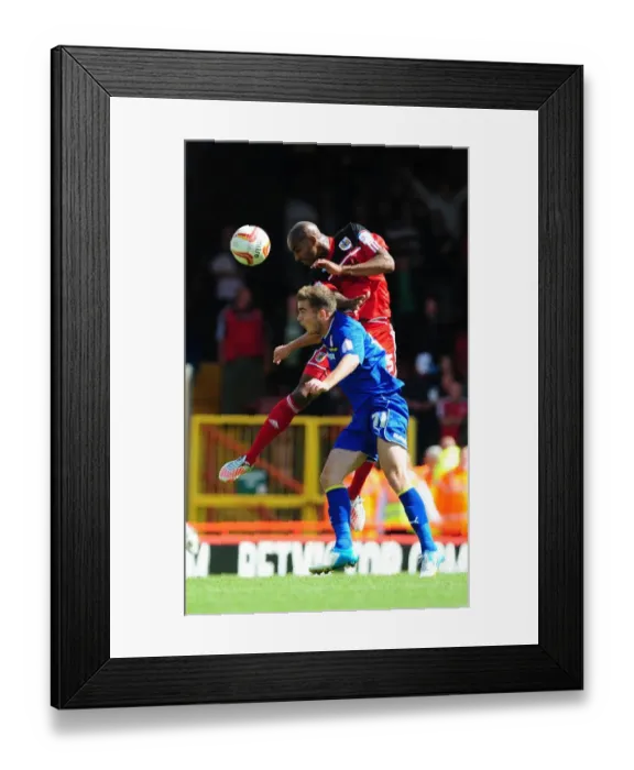 Framed Print : Bristol City vs. Cardiff City: Marvin Elliott vs. Heidar Helguson - Championship Battle at Ashton Gate Framed Print : Bristol City vs. Cardiff City: Marvin Elliott vs. Heidar Helguson - Championship Battle at Ashton Gate