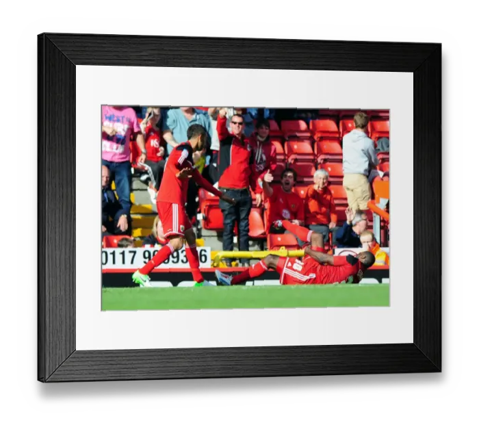 Framed Print : Bristol City Captain and Fans React in Shock as George Elokobi Suffers Horrific Injury Framed Print : Bristol City Captain and Fans React in Shock as George Elokobi Suffers Horrific Injury