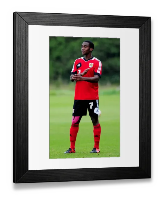 Framed Print : Bristol City Football Academy: Training at Failand Ground, September 2012 Framed Print : Bristol City Football Academy: Training at Failand Ground, September 2012