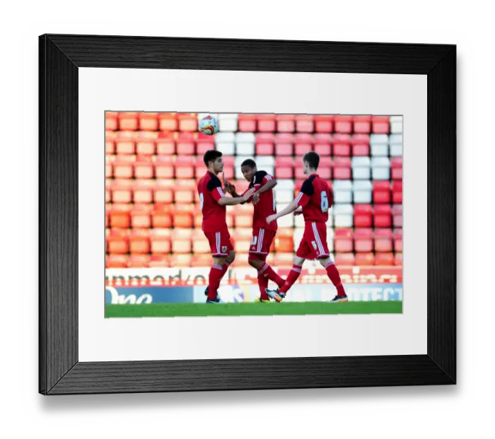 Framed Print : Bristol City U21s Celebrate Goal Against Colchester United: Bobby Reid and Joe Edwards Framed Print : Bristol City U21s Celebrate Goal Against Colchester United: Bobby Reid and Joe Edwards