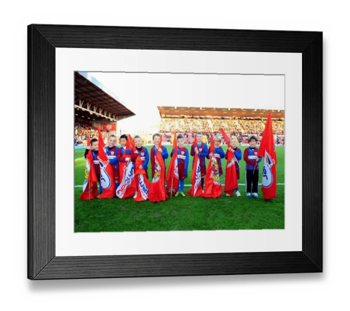 Framed Print : Championship Showdown: Bristol City vs Hull City Rivalry at Ashton Gate Stadium - October 2012 Framed Print : Championship Showdown: Bristol City vs Hull City Rivalry at Ashton Gate Stadium - October 2012