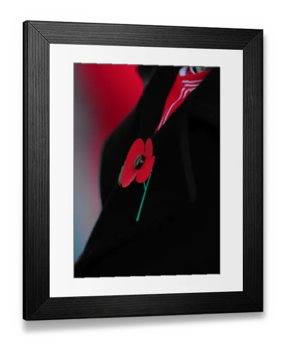 Framed Print : Bristol City Fans Pay Tribute with Poppies on Remembrance Day at Ashton Gate Stadium
