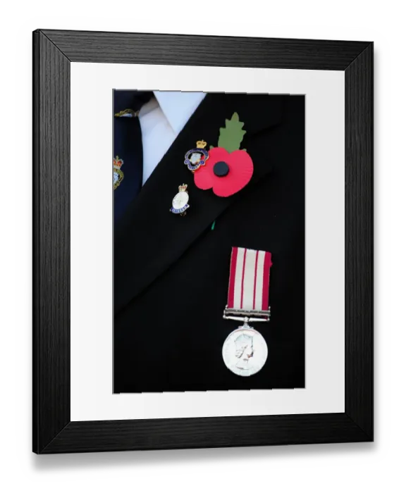 Framed Print : Bristol City's Buster Footmen Honors Remembrance Day with Poppy at Ashton Gate Stadium (Bristol City v Charlton Athletic, 11 / 11 / 2012) Framed Print : Bristol City's Buster Footmen Honors Remembrance Day with Poppy at Ashton Gate Stadium (Bristol City v Charlton Athletic, 11 / 11 / 2012)
