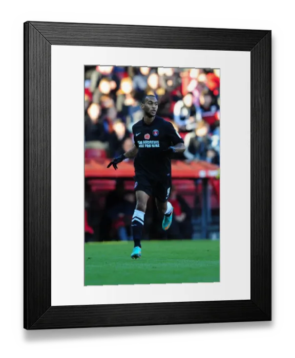 Framed Print : Bristol City's Championship Upset: Danny Haynes Celebration Against Charlton Athletic Framed Print : Bristol City's Championship Upset: Danny Haynes Celebration Against Charlton Athletic