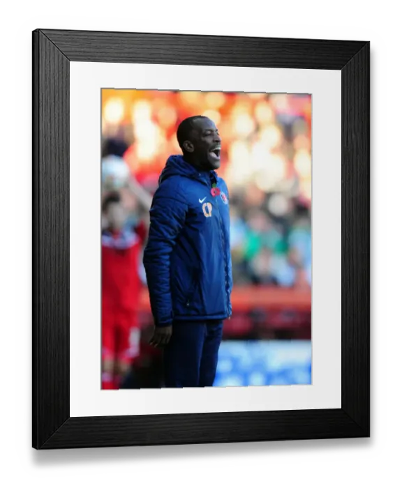 Framed Print : Chris Powell Leads Charlton Athletic at Ashton Gate: Bristol City vs Charlton Athletic Football Match, Championship 2012 Framed Print : Chris Powell Leads Charlton Athletic at Ashton Gate: Bristol City vs Charlton Athletic Football Match, Championship 2012