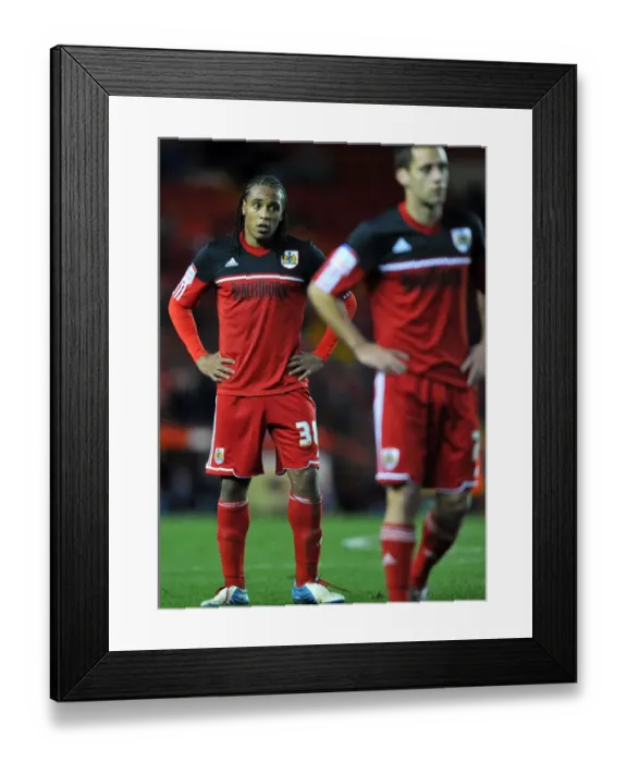 Framed Print : Frustration for Neil Danns as Bristol City Lose to Wolves
