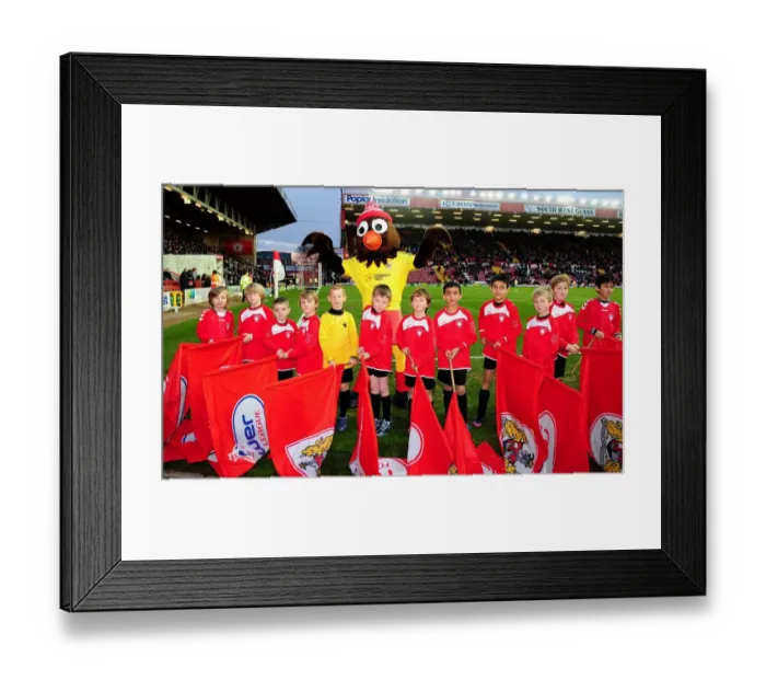 Framed Print : Bristol City V Wolverhampton Wanderers 011212