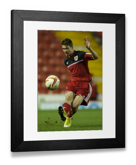 Framed Print : Bristol City U18s vs Ipswich Town U18: FA Youth Cup Third Round Proper at Ashton Gate Stadium Framed Print : Bristol City U18s vs Ipswich Town U18: FA Youth Cup Third Round Proper at Ashton Gate Stadium