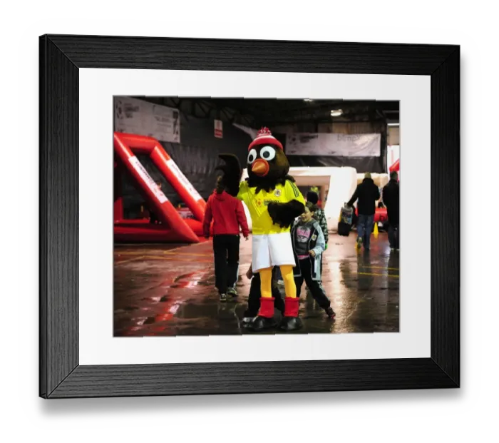 Framed Print : Bristol City vs Derby County Clash in Championship Football, Ashton Gate Stadium (15 / 12 / 2012) Framed Print : Bristol City vs Derby County Clash in Championship Football, Ashton Gate Stadium (15 / 12 / 2012)