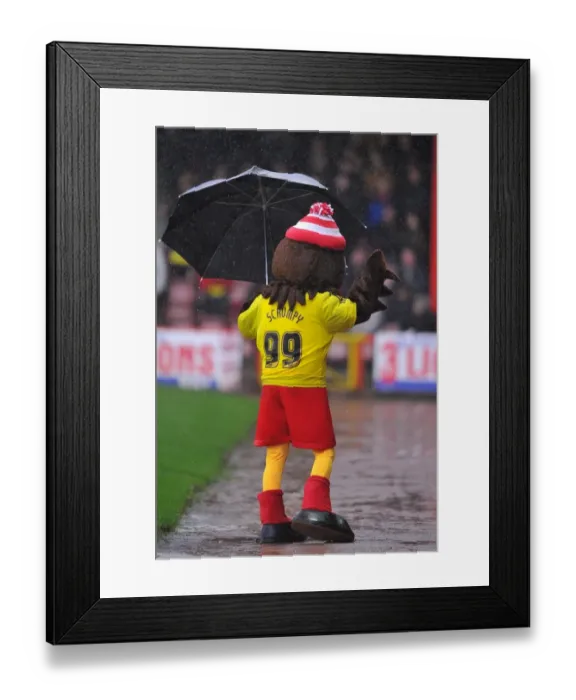 Framed Print : Bristol City Mascot Scrumpy Braves the Rain: Bristol City v Watford, Ashton Gate Stadium (December 2012)