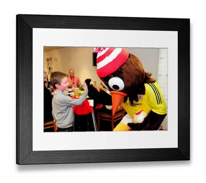 Framed Print : Bristol City vs. Watford (Postponed) - Season 12-13