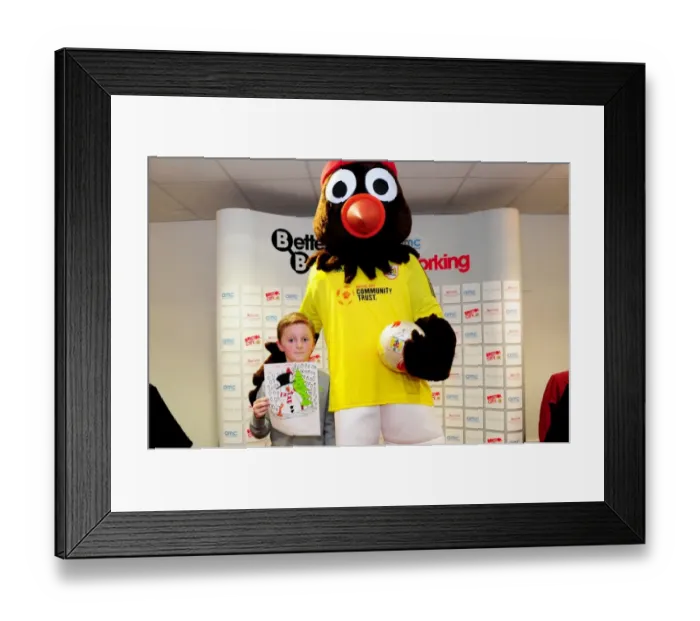 Framed Print : Bristol City vs. Watford (Postponed) - Season 12-13