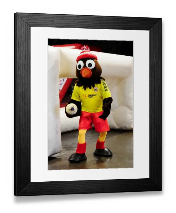 Framed Print : Bristol City vs. Watford (Postponed) - Season 12-13 Framed Print : Bristol City vs. Watford (Postponed) - Season 12-13
