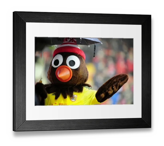 Framed Print : Championship Showdown: Bristol City vs. Watford in the Rain