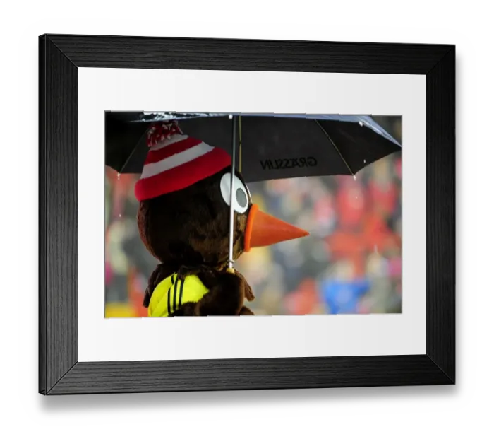 Framed Print : Rainy Championship Clash: Bristol City vs. Watford at Ashton Gate