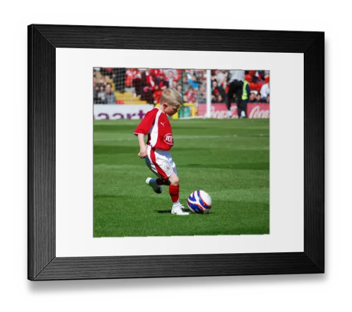 Framed Print : Mascot Framed Print : Mascot