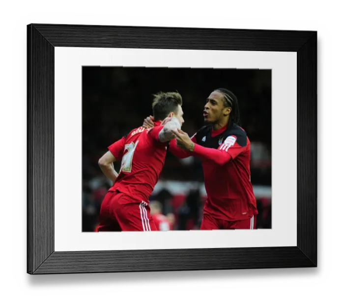 Framed Print : Bristol City's Paul Anderson and Neil Danns Celebrate 1-0 Goal Against Peterborough, Championship Football Match at Ashton Gate, December 2012