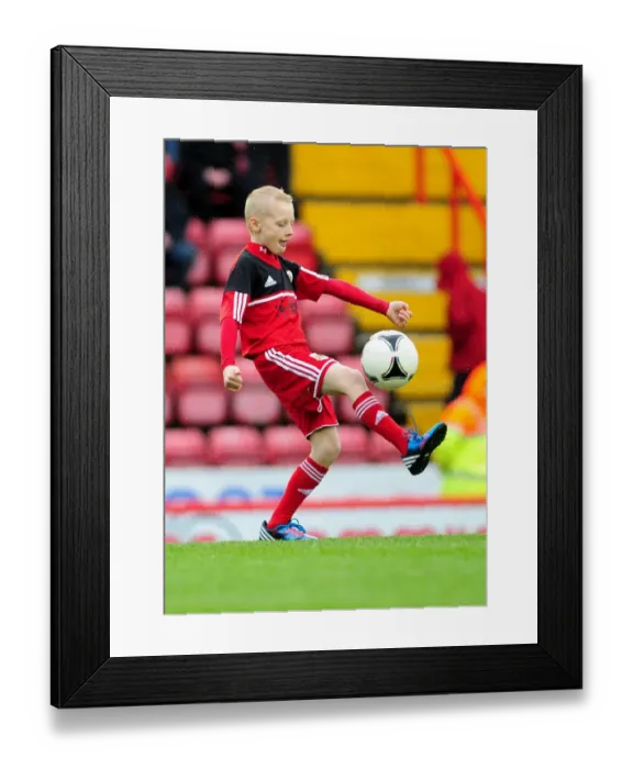 Framed Print : Bristol City vs. Peterborough United: Championship Clash at Ashton Gate - December 2012