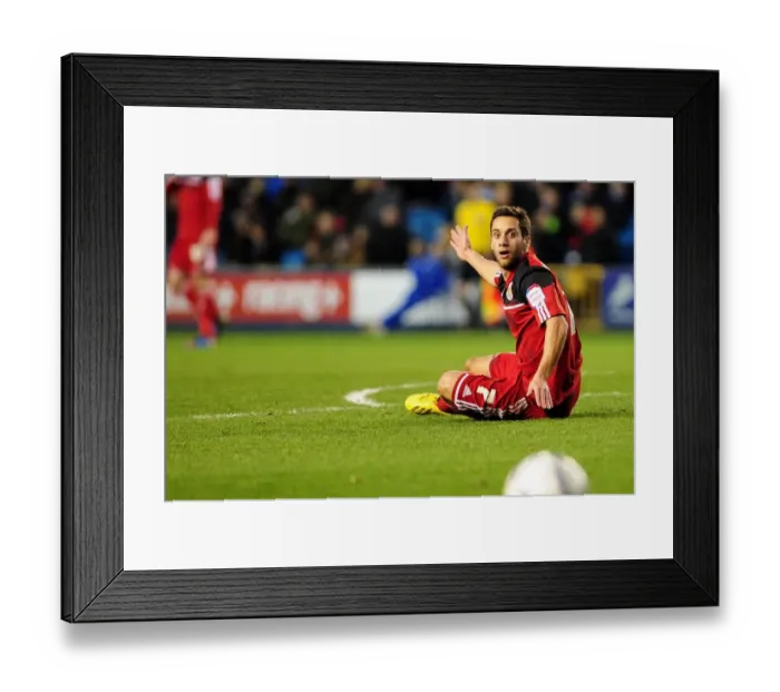 Framed Print : Protesting for a Foul: Sam Baldock of Bristol City