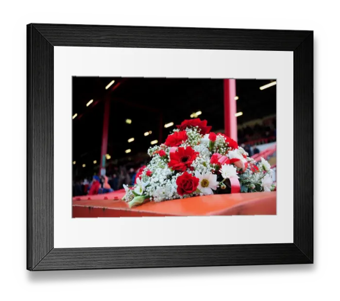 Framed Print : Bristol City vs Ipswich Town: Tribute to Ian Cottle (1968-2013) Framed Print : Bristol City vs Ipswich Town: Tribute to Ian Cottle (1968-2013)