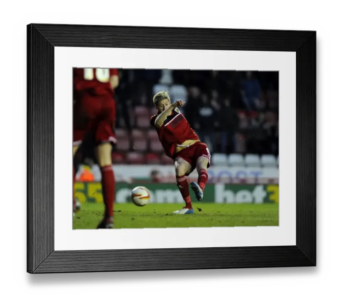 Framed Print : Jon Stead Scores the Winning Goal: Bristol City Triumphs Over Ipswich Town in Npower Championship Match, January 2013