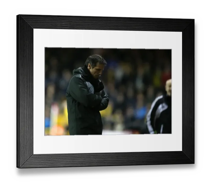 Framed Print : Gianfranco Zola's Disappointment: Bristol City's Championship Victory Over Watford (January 29, 2013) Framed Print : Gianfranco Zola's Disappointment: Bristol City's Championship Victory Over Watford (January 29, 2013)