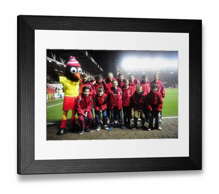 Framed Print : Bristol City vs. Watford: Flag Bearers at Ashton Gate, Championship Match (January 2013)