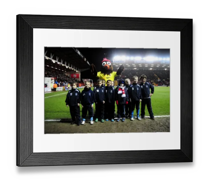 Framed Print : Flag-Bearing Fans at Ashton Gate: Bristol City vs. Watford, Championship Match (2013) Framed Print : Flag-Bearing Fans at Ashton Gate: Bristol City vs. Watford, Championship Match (2013)