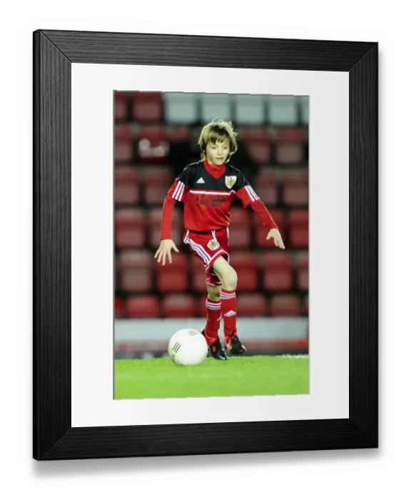 Framed Print : Bristol City vs. Watford: Clash at Ashton Gate, Championship Football Match
