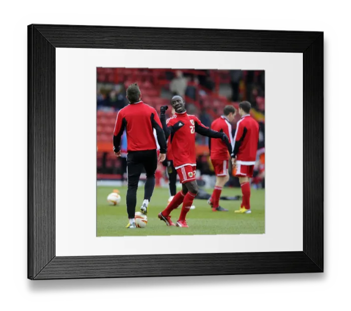 Framed Print : Bristol City's Albert Adomah in Action Against Barnsley, Npower Championship