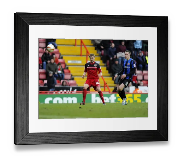 Framed Print : Disallowed Goal: Steven Davies of Bristol City Frustration Against Barnsley in Npower Championship, 2013 Framed Print : Disallowed Goal: Steven Davies of Bristol City Frustration Against Barnsley in Npower Championship, 2013