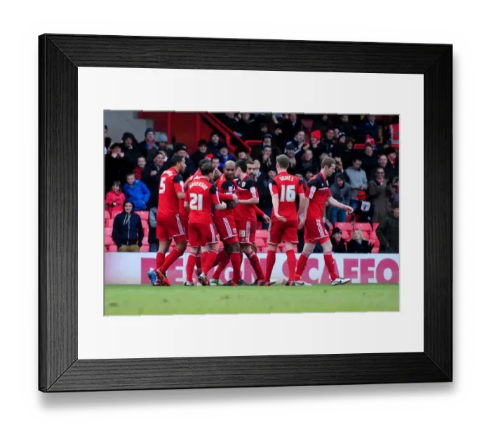Framed Print : Bristol City Celebrate Jon Stead's Goal Against Barnsley, 2013