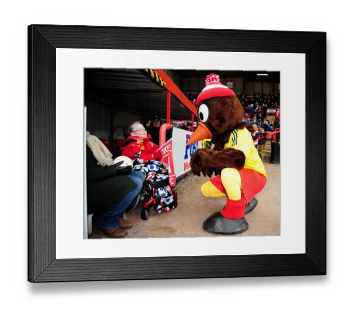 Framed Print : Bristol City vs Barnsley: A Heartwarming Moment Between Scrumpy and a Young Fan Framed Print : Bristol City vs Barnsley: A Heartwarming Moment Between Scrumpy and a Young Fan